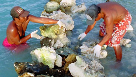 Kiribati_building_coral_walls